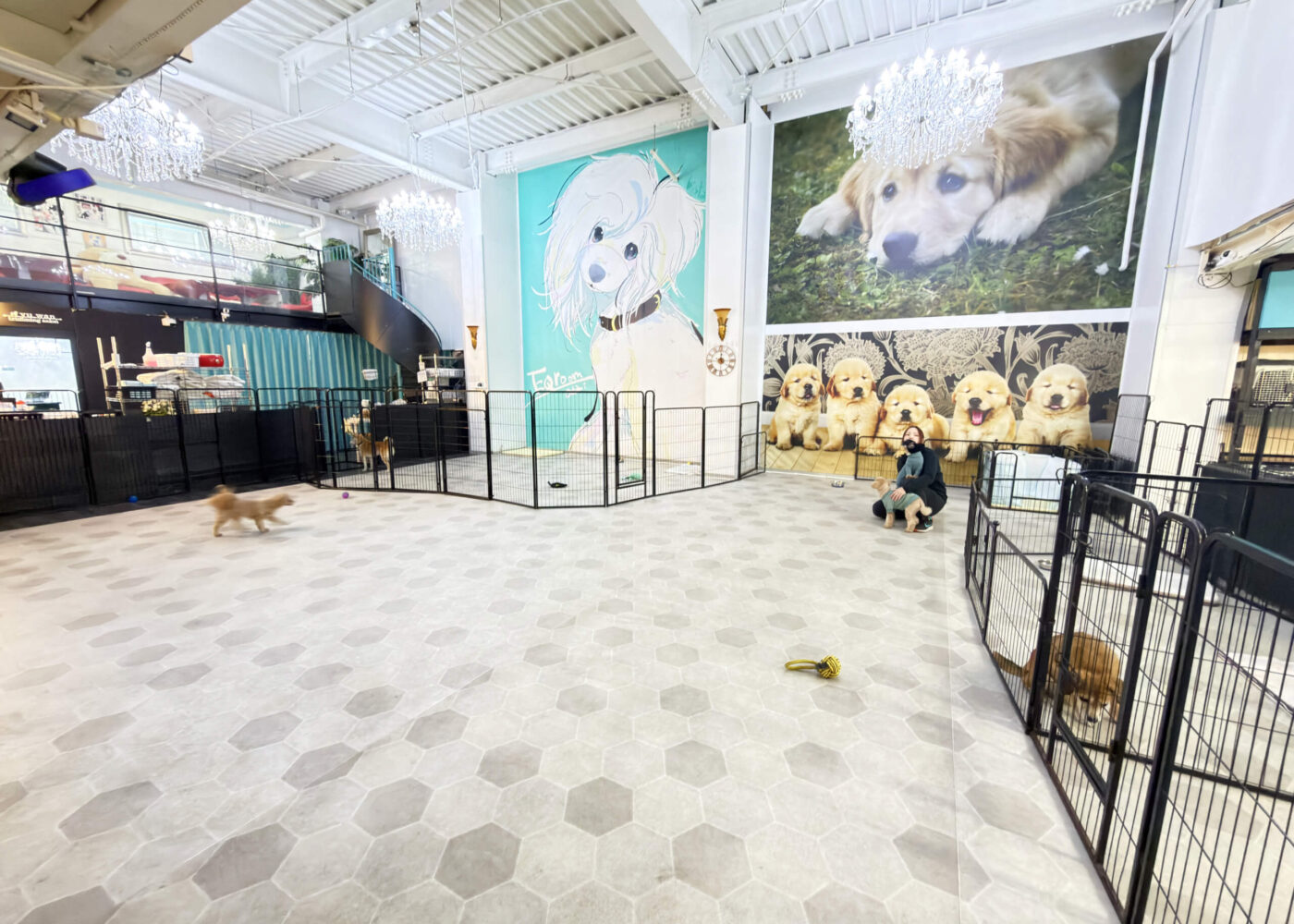 free-time01 都内最大級のドッグラン施設