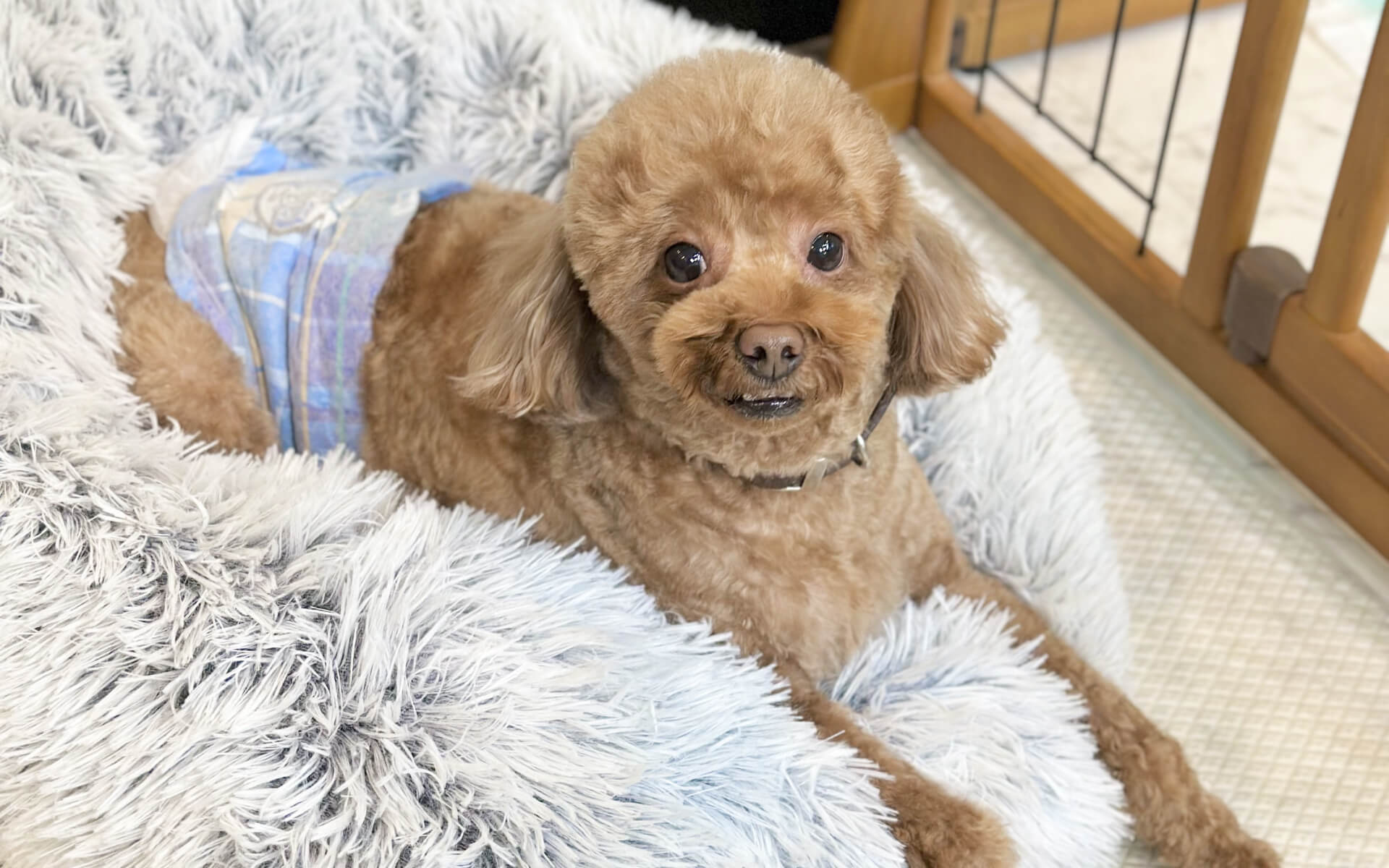 営業時間・定休日